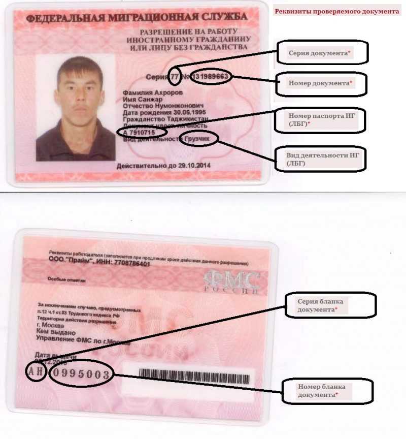 Проверка патента на действительность через сайт фмс (гувм мвд) в 2020 году
