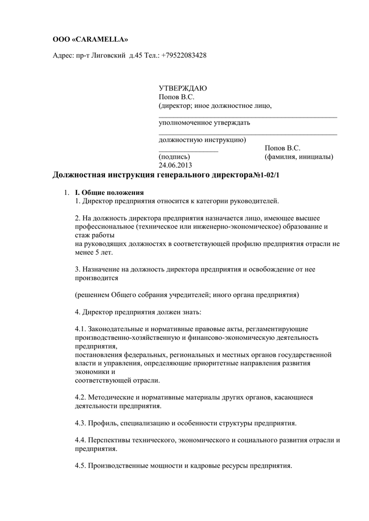 Должностные обязанности генерального директора в ооо: инструкции, функции и требования к кандидату, особенности должностной инструкции + видео