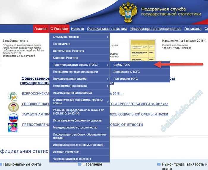 Как узнать, какую отчетность сдавать в 2024 году по инн на официальном сайте росстата? | официальный сайт управления образования администрации г. кудымкара