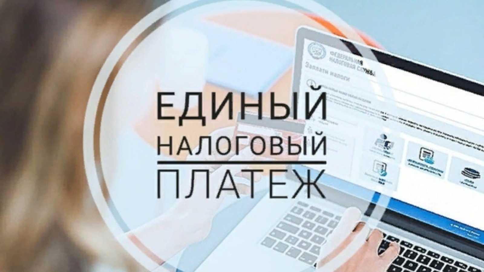 Переводим деньги на расчетный счет ип и ооо - все про расчетные счета в банках и финансовых организациях