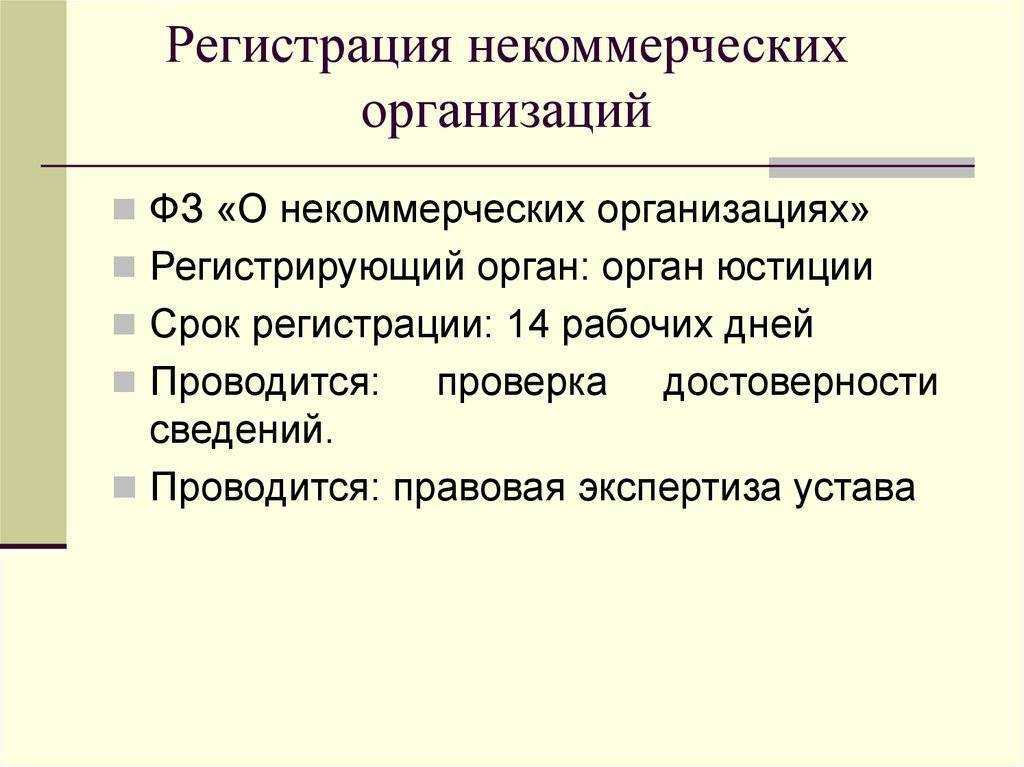 Регистрация общественной организации в 2024 году: пошаговая инструкция