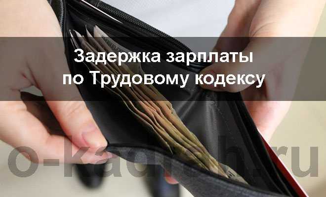 Как взыскать заработную плату с работодателя в 2024 году? - пошаговая инструкция
