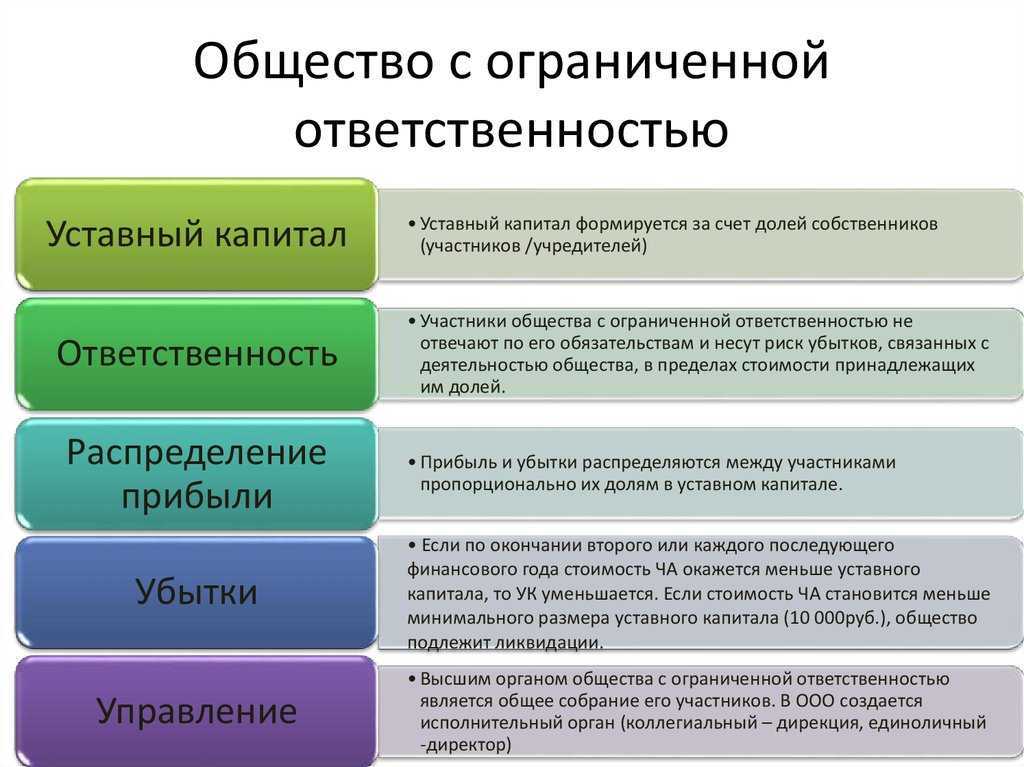 Ип-управляющий под прицелом: как исключить налоговые риски
