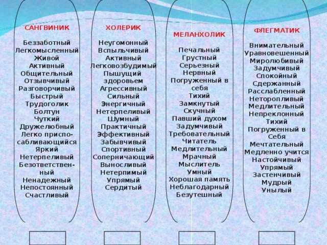 Холерик - кто это, черты характера, плюсы, минусы, советы психолога