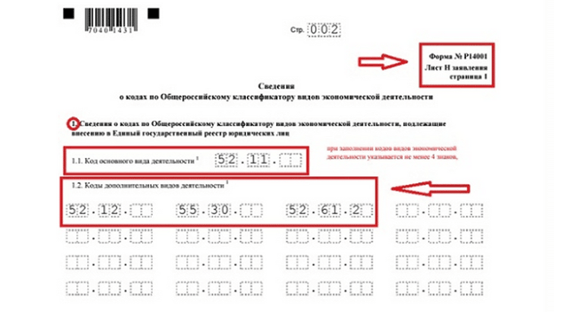 Образец заполнения формы р21001. пошаговая инструкция