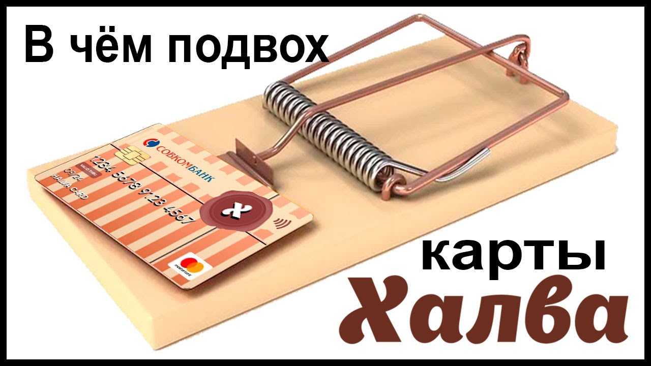 Бизнес-карта в действии: экономим деньги и оптимизируем время