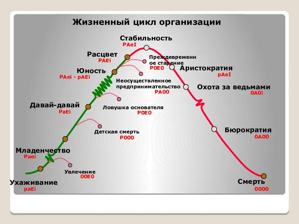 Управление жизненным циклом корпораций. адизес и.к
