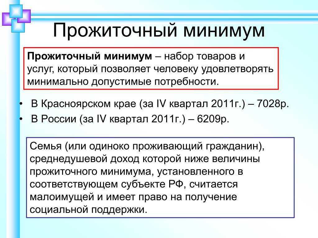 Бибикова напомнила, для кого рассчитывается прожиточный минимум | русские юристы