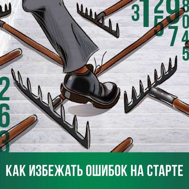 Как заработать на госзакупках – 6 схем тендерного бизнеса от практика