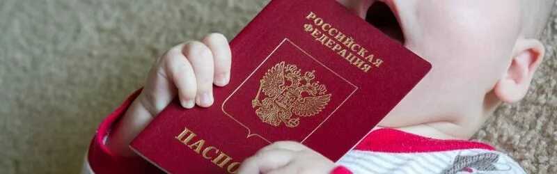 Гражданство турции: как получить турецкий паспорт по натурализации
