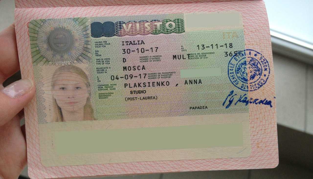 Рабочая виза в россию — право на участие, сборы и порядок подачи заявления — рабочая учебная виза