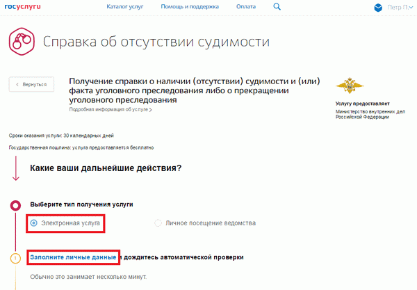 Как получить справку об отсутствии судимости иностранцу в 2024