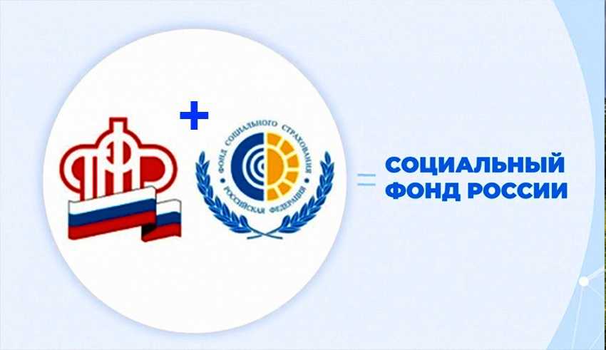 Как добавить и подтвердить оквэд через госуслуги