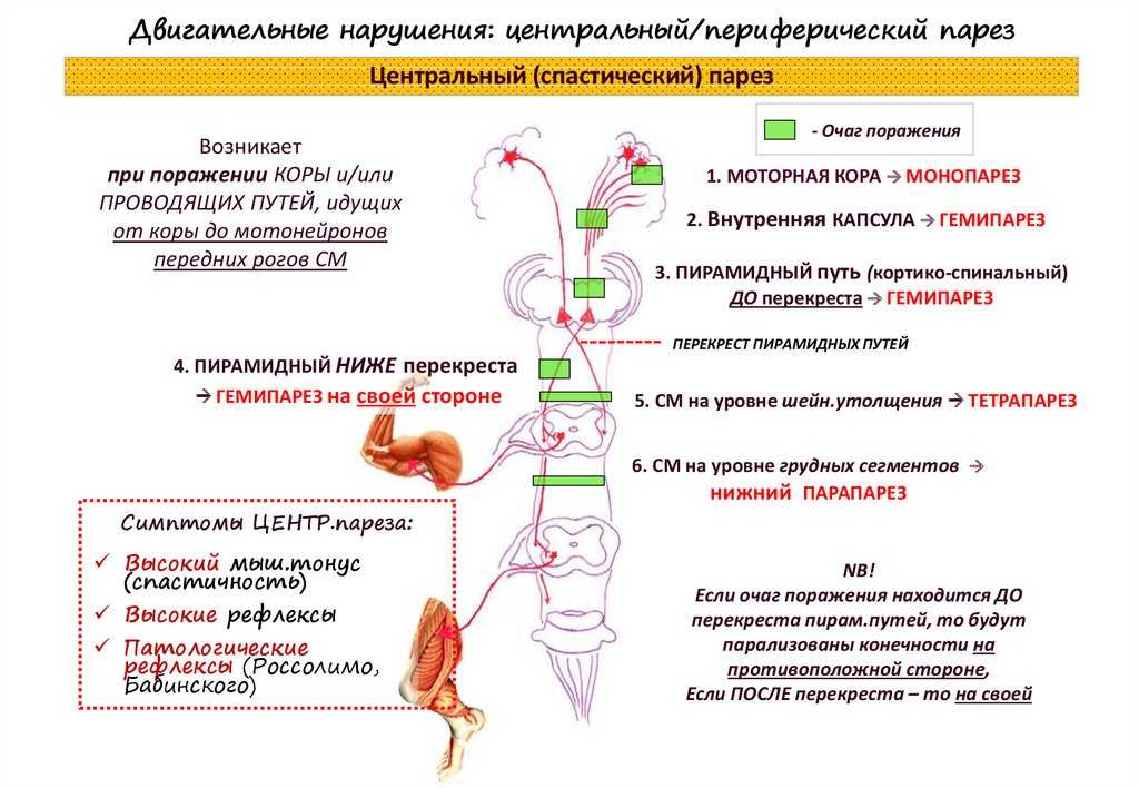 Проверить адрес массовой регистрации юридических лиц