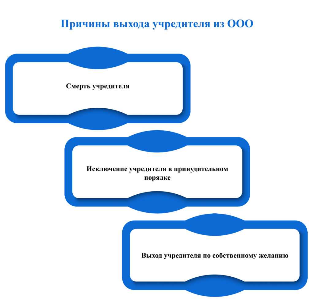 Смена учредителей ооо: пошаговая инструкция