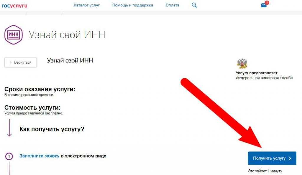 Как получить свидетельство инн через интернет: преимущества онлайн-оформления и заполнение заявления