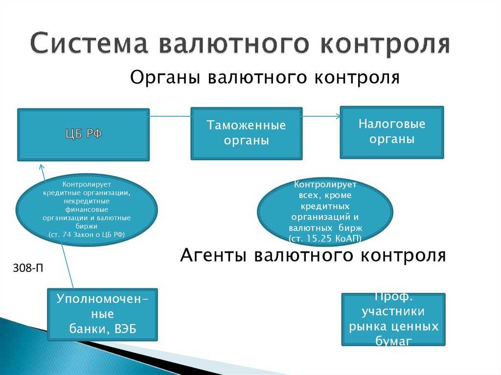 Валютный контроль. закон, документы и регулирование в 2024 году