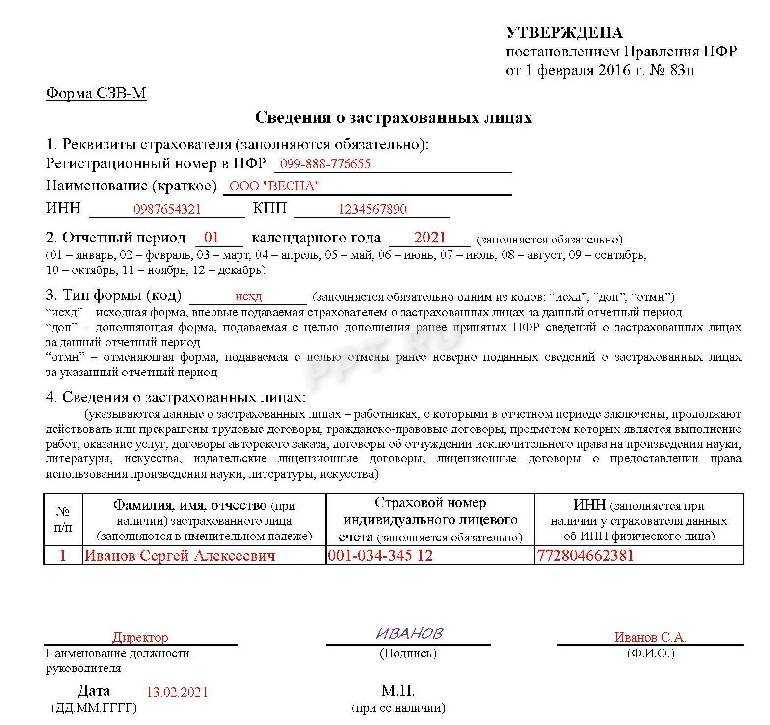 Персонифицированная отчетность: новые бланки и порядок заполнения