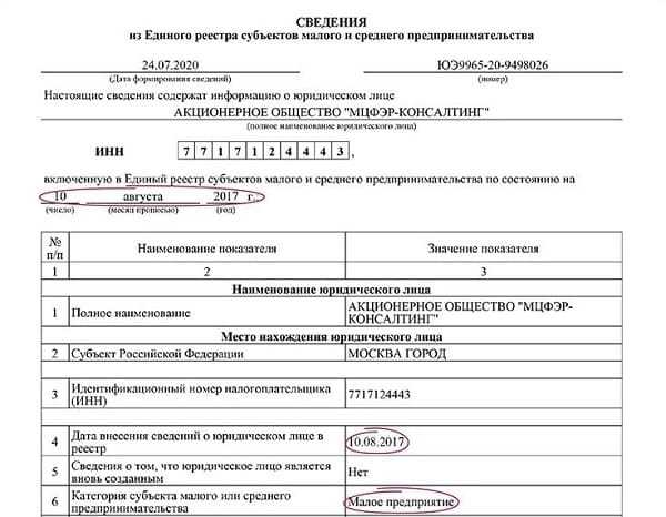 Единый реестр субъектов малого и среднего предпринимательства: как попасть в реестр мсп — «моё дело»