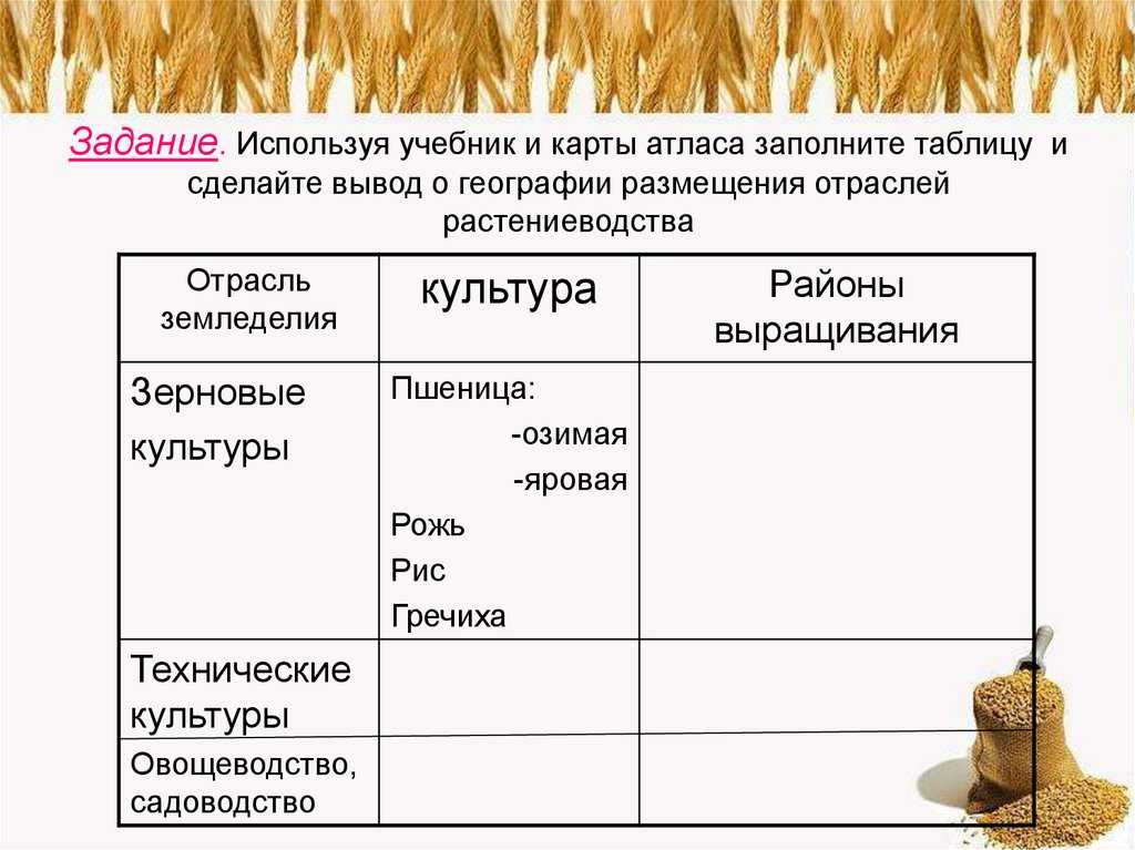 Базы распределения общих прямых затрат, учитываемых на счете 20 (23) в 1с