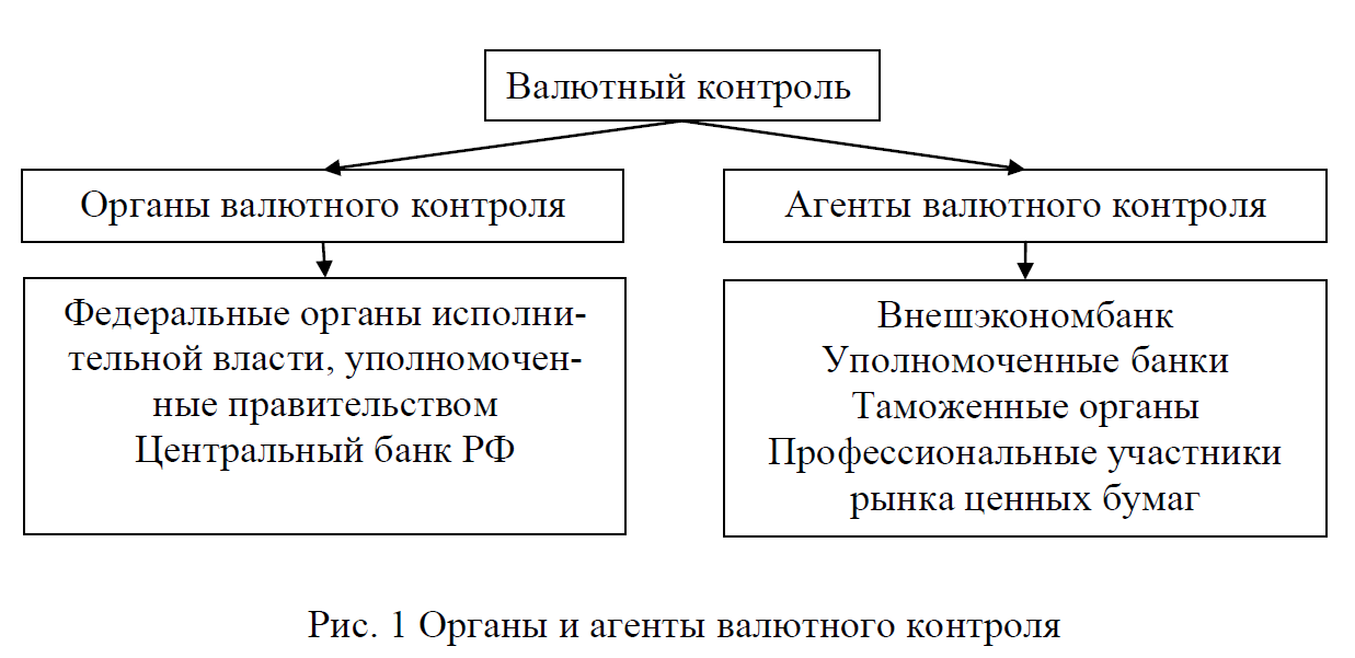 Что такое валютный контроль – органы регулирования, принципы и методы