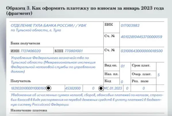 Страховые взносы – 2023: начисление, уплата, отчетность