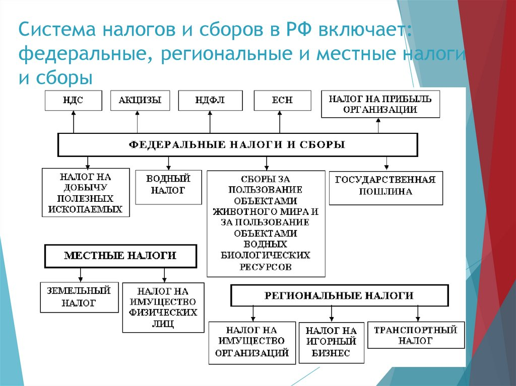 Порядок установления налогов и сборов в рф кратко