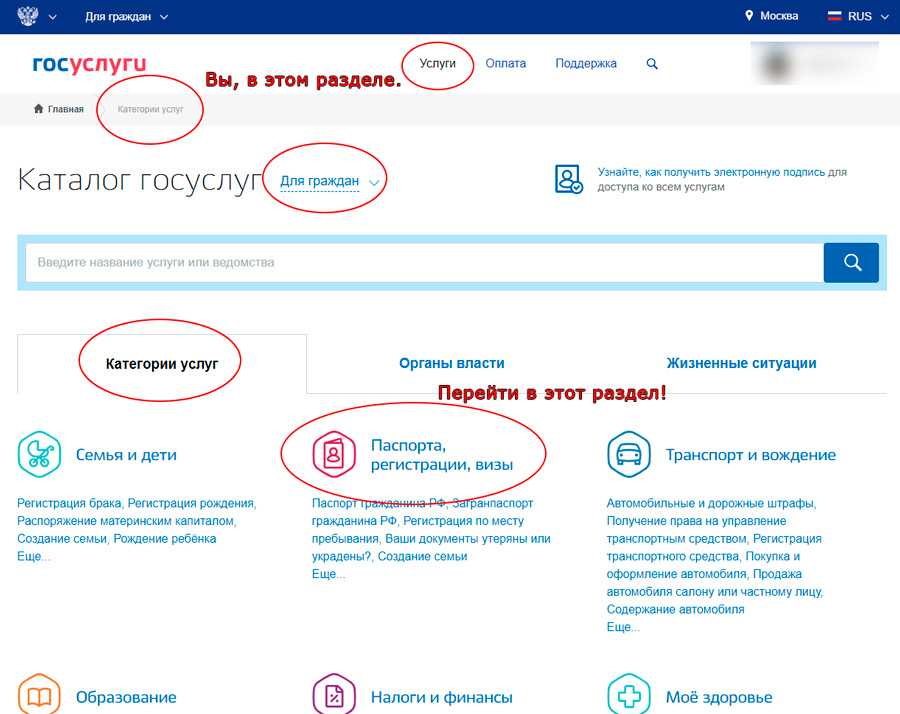Как сменить прописку через госуслуги: пошаговая инструкция