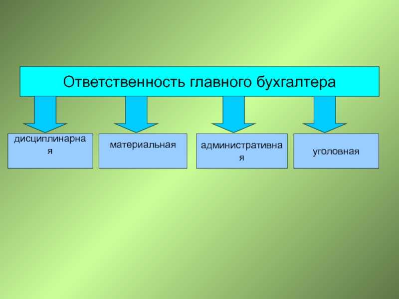 Заработная плата руководителя, его заместителя и главбуха с 01.01.2017 года — сам себе адвокат