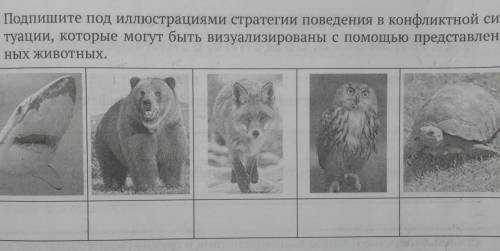 — причины конфликта