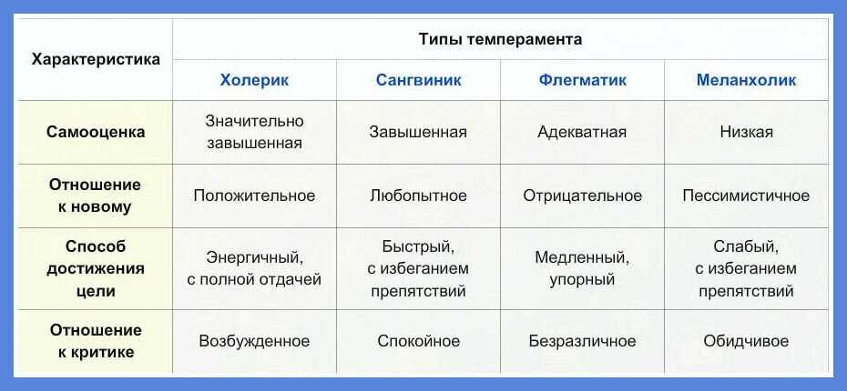 Кто такой холерик, и как себя с ним вести? - блог викиум