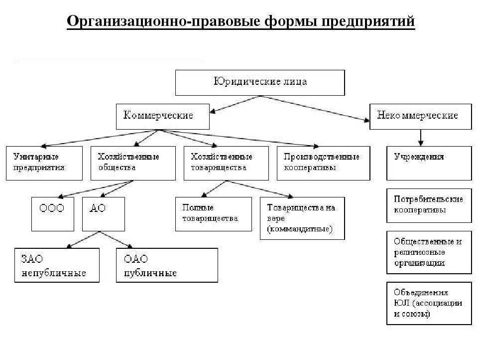 Виды кооперативов и особенности регистрации