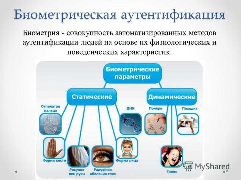 Биометрия в банках: что это, зачем и к чему приведет