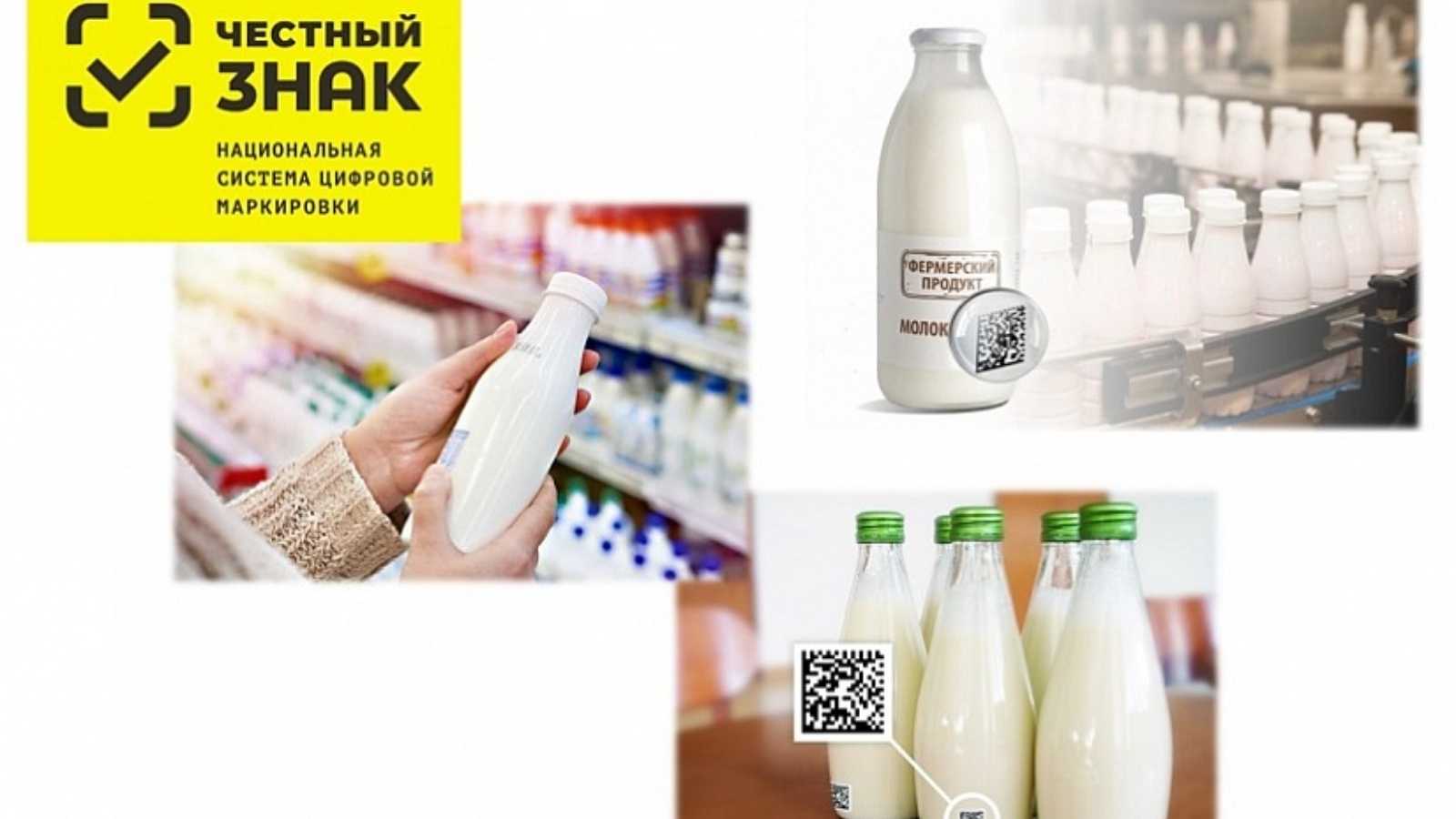 Маркировка молочной продукции в рознице с 2023: молока, сыры, мороженое