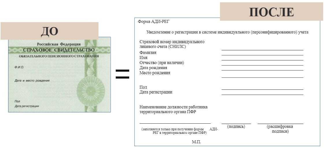 Возможно ли и как получить снилс иностранному гражданину? - юридический советникъ