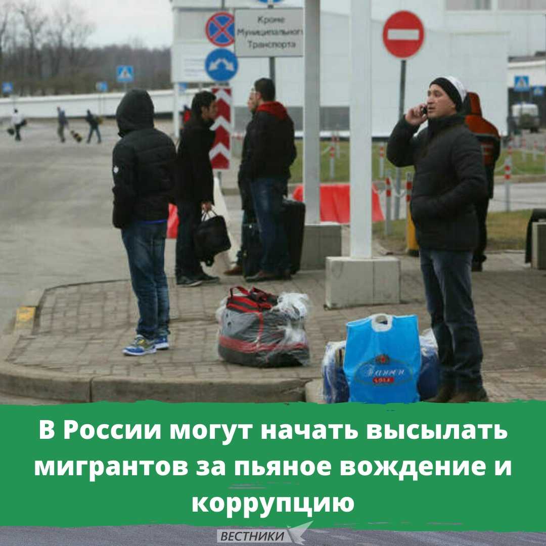 Как работодателю получить квоту на рнр на иностранца в 2023 году