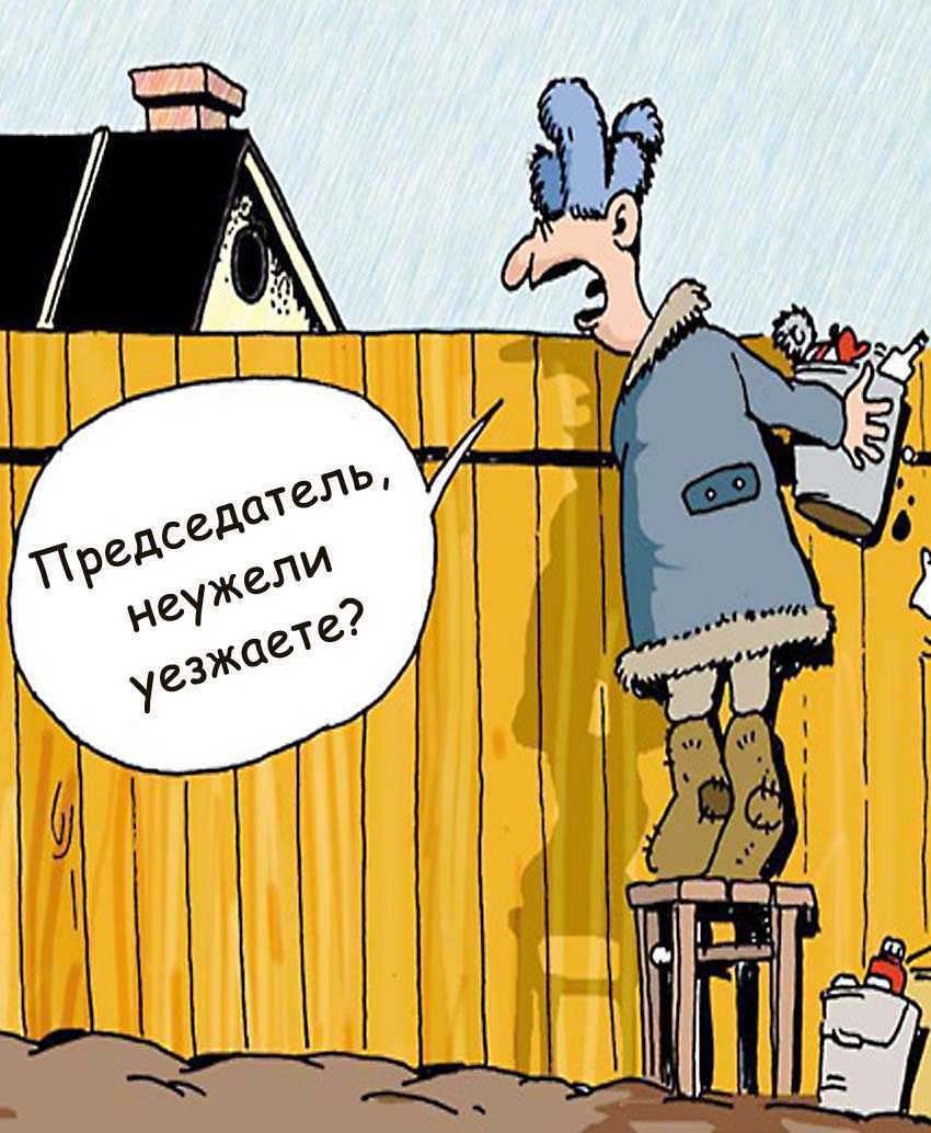 О налогах и о жизни: изменения в отношении кик, введенные федеральным законом от 09.11.2020 № 368-фз