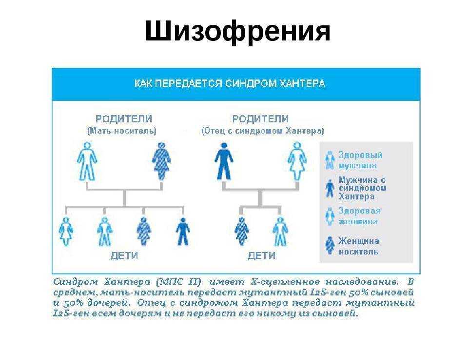 Криптовалюта: что это такое, как работает и какие виды бывают / skillbox media
