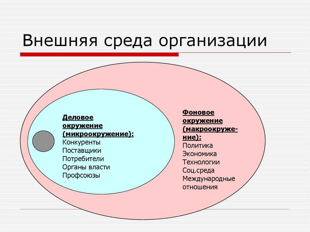 Роль внутренней и внешней среды в функционировании и развитии организации
