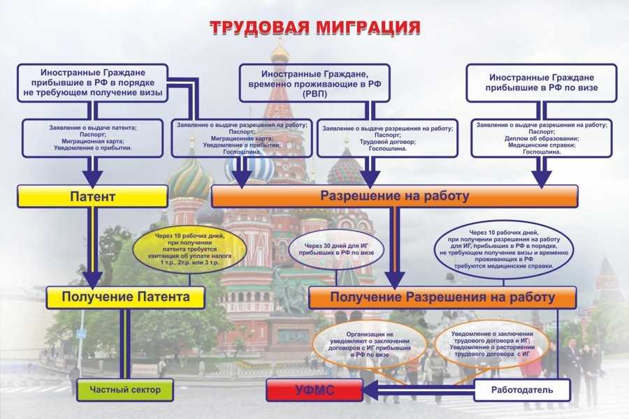 Зарплата наличными иностранным работникам: что про это надо знать