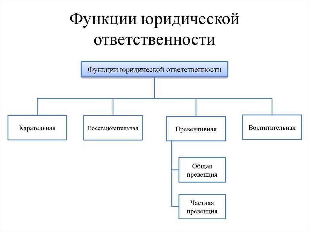 Цели, функции и принципы юридической ответственности в российском государстве, цели и функции юридической ответственности