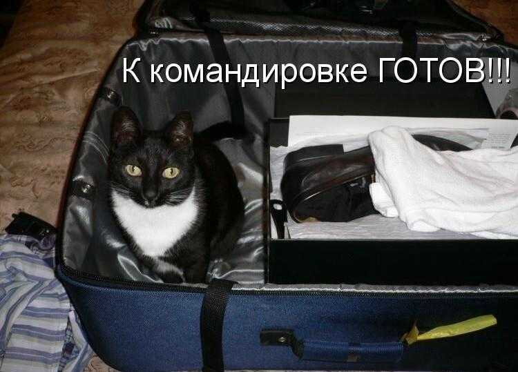 15.04.2022 минфин россии разъяснил налогообложение в случаях, когда работник в месте командировки проводит отпуск :: разъяснения государственных органов
