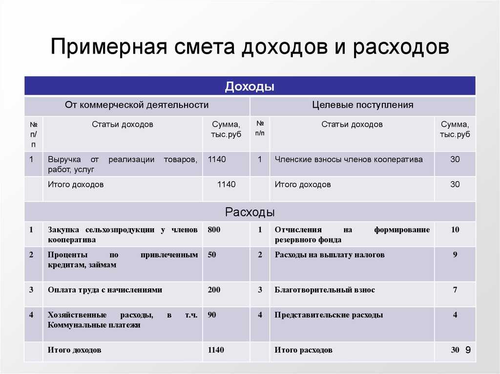 Учетная политика для нко на 2024 год