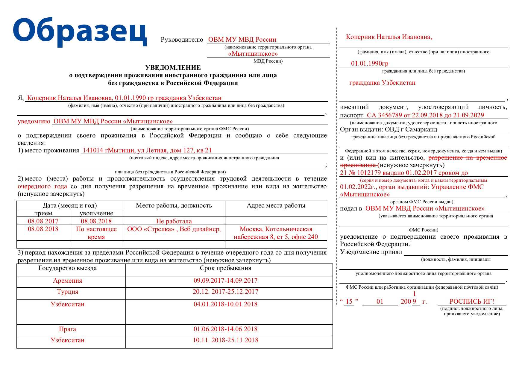 Как в россии получить вид на жительство иностранному гражданину