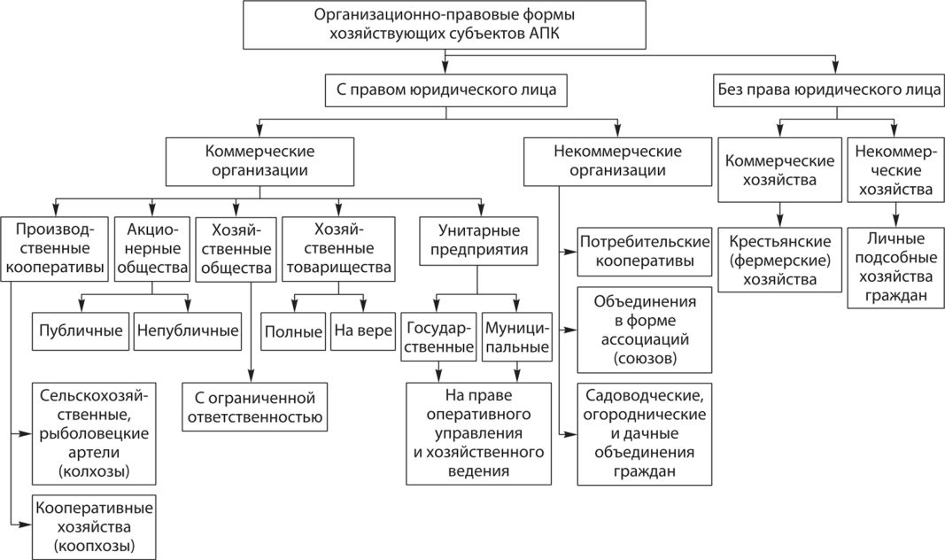Ип-управляющий под прицелом: как исключить налоговые риски