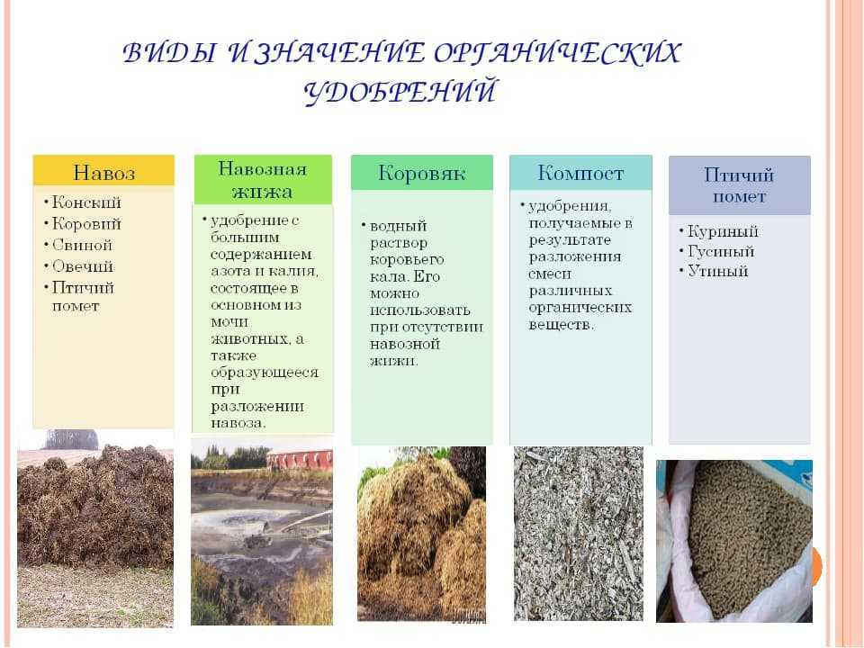 Минфин предложил установить с сентября единую экспортную пошлину на минудобрения
