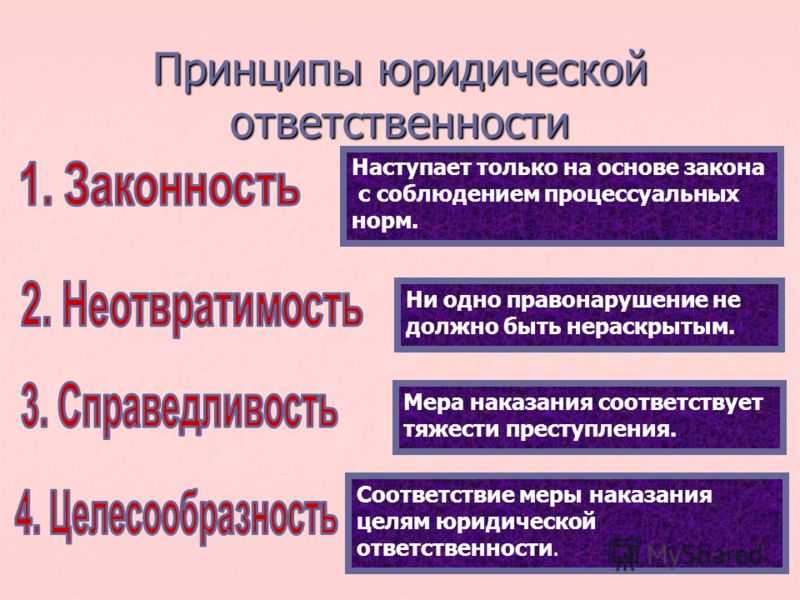 Юридическая ответственность . контрольная работа. основы права. 2008-12-09