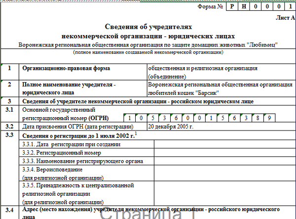 Регистрация нко в 2024: пошаговая инструкция, способы, документы, сроки