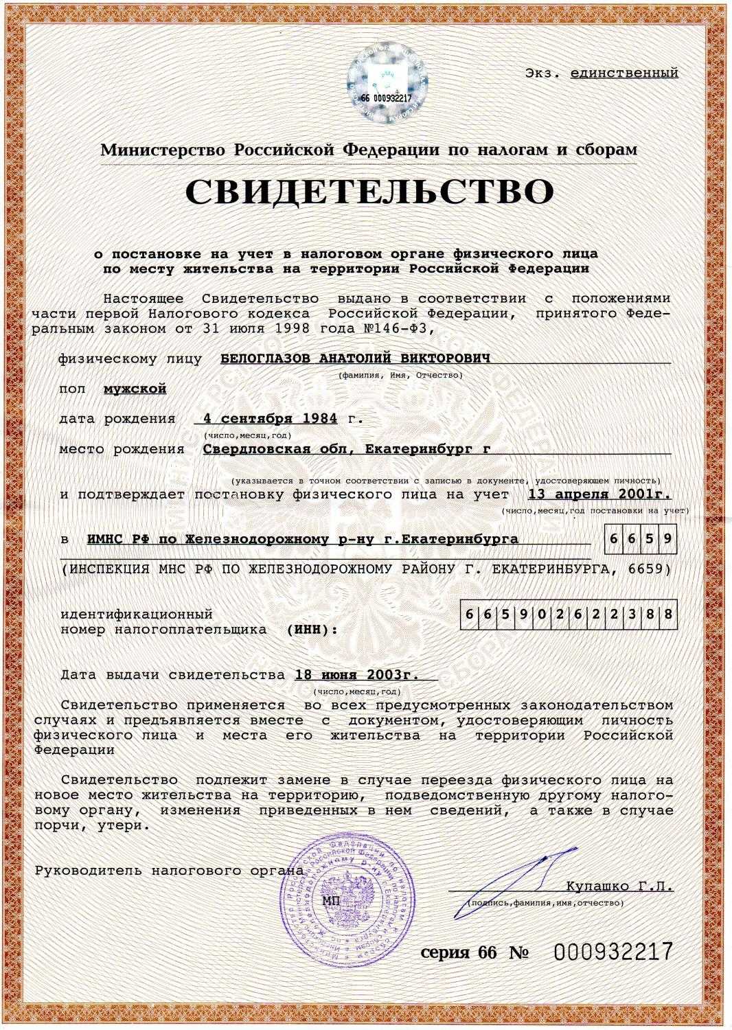 Получение инн иностранным гражданином: какие документы нужны и сколько стоит?