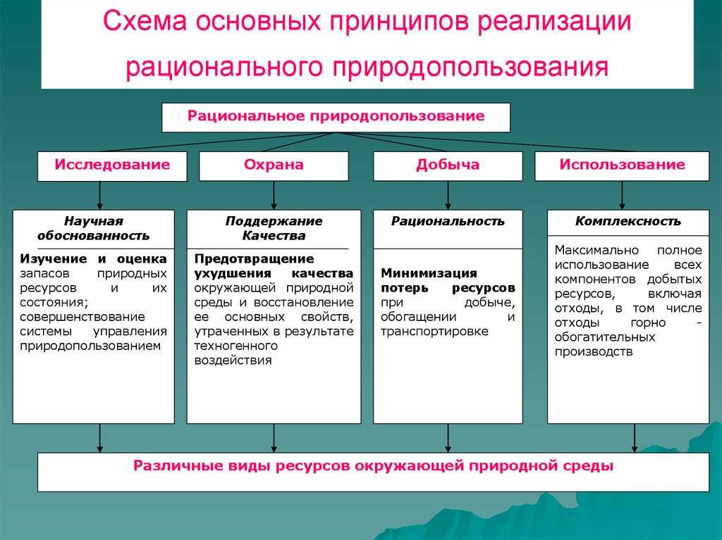 § 19. человек в мире экономических отношений